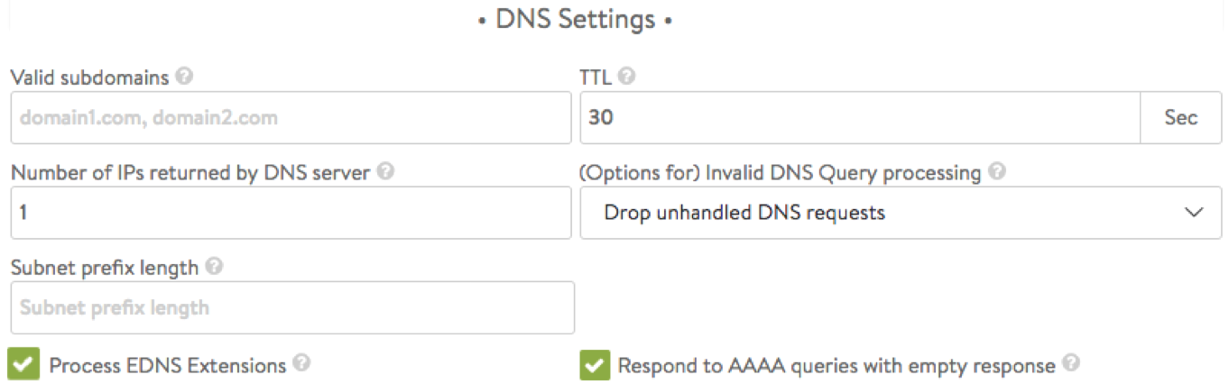 Avi Vantage DNS settings