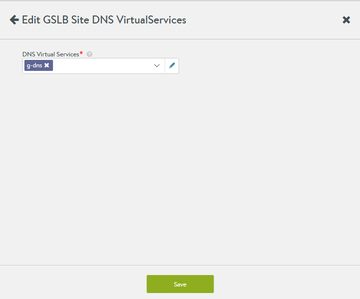 Save and Set DNS Virtual Services