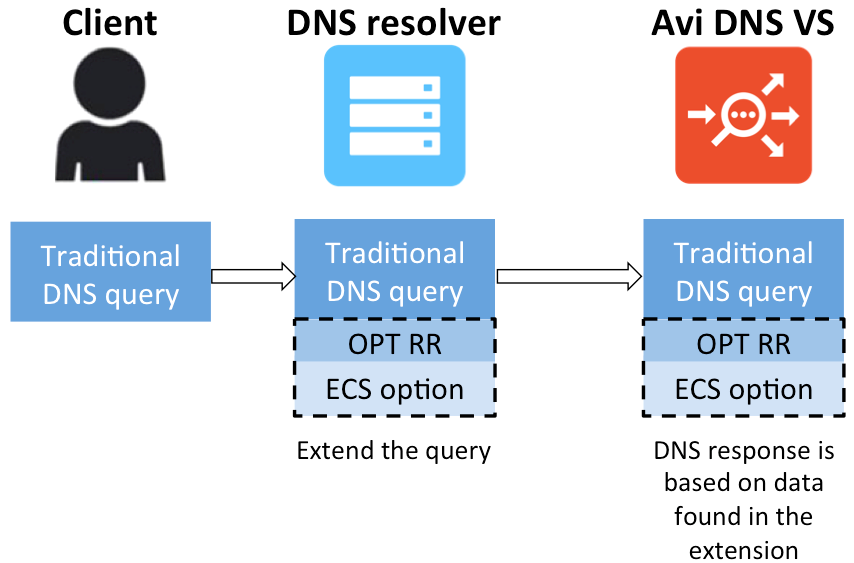 Authoritative Avi DNS responds to query based on ECS option